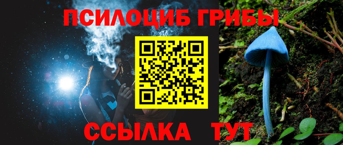 Псилоцибиновые грибы Magic Shrooms  Вход с VPN  Галлюциногенные грибы Magic Shrooms  Кузнецк 